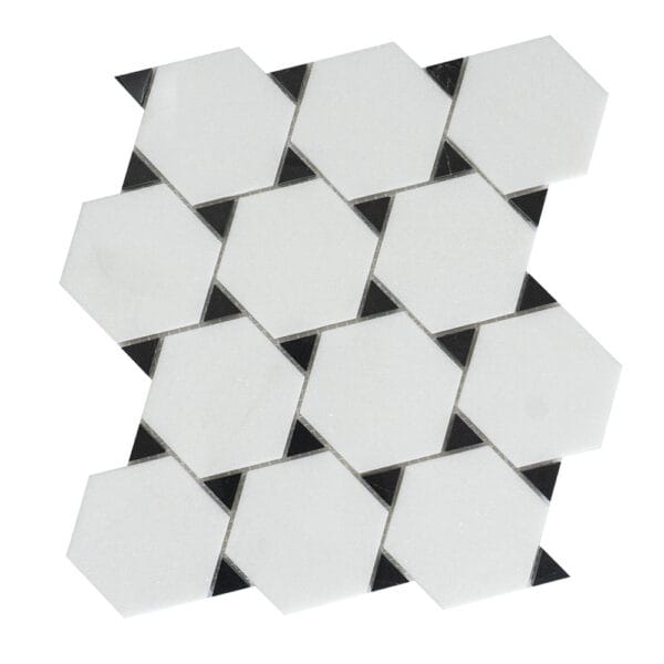 Thassos & Nero Marquina Hexagonal Marble Mosaic Tile